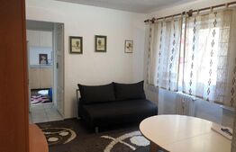 Apartament 2 camere, etaj intermediar, zona Universitatii