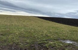 Teren Intravilan, 3367 mp, zona Moara