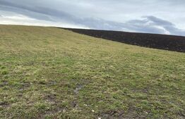 Teren Intravilan, 3367 mp, zona Moara