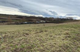 Teren Intravilan, 3367 mp, zona Moara