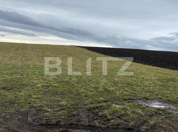 Teren de vânzare Vest - 110958TV | BLITZ Suceava | Poza8
