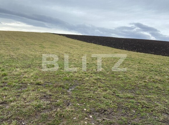 Teren de vânzare Vest - 110958TV | BLITZ Suceava | Poza6