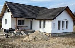 Casa la rosu 103 mp, teren 1100 mp, zona Mitocul Dragomirnei