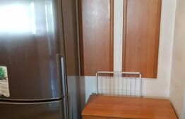 Apartament 2 camere, 50 mp, zona Obcini