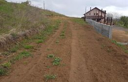 Teren intravilan 5300 mp, pretabil pentru construirea de hale sau duplex, zona Sf. Ilie-Moara