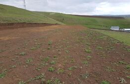 Teren intravilan 5300 mp, pretabil pentru construirea de hale sau duplex, zona Sf. Ilie-Moara