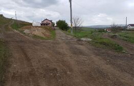 Teren intravilan 5300 mp, pretabil pentru construirea de hale sau duplex, zona Sf. Ilie-Moara