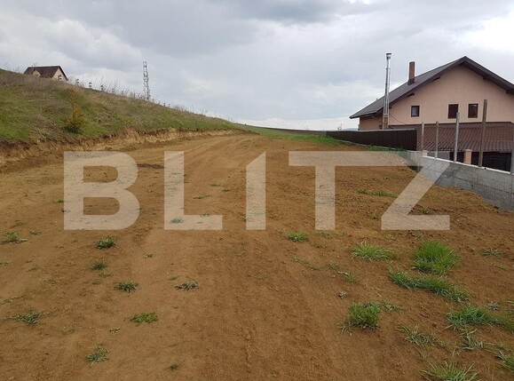 Teren de vânzare Sfantu Ilie - 111106TV | BLITZ Suceava | Poza3