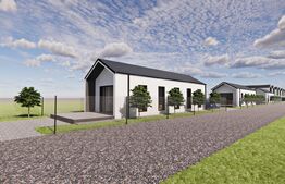 Casa individuala pe un singur nivel, 50mp , Ipotesti