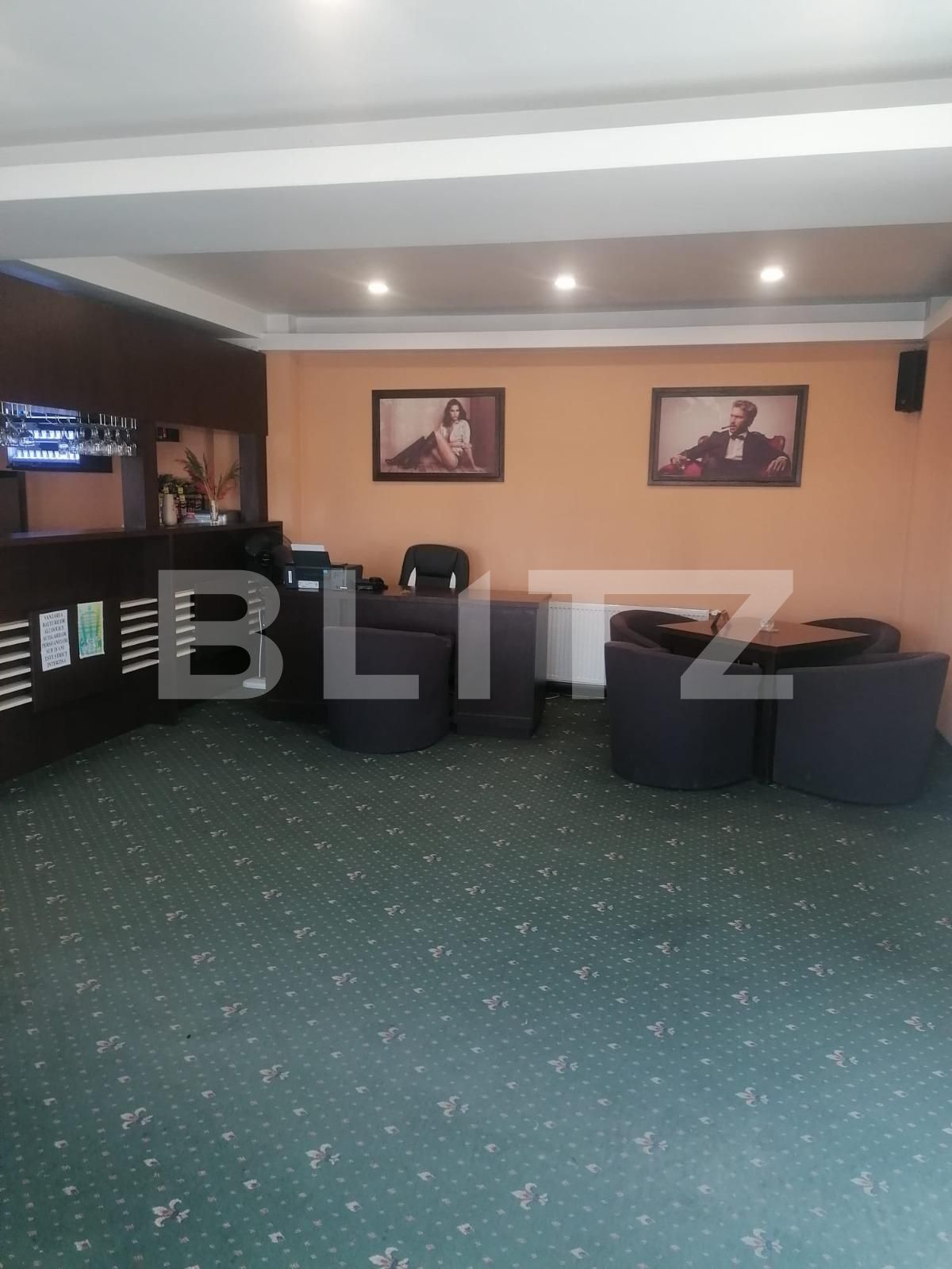 Spațiu comercial de vânzare Itcani - 111113SVC | BLITZ Suceava | Poza2