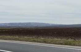 Teren Extravilan, 7100 mp, E58,  zona Scheia