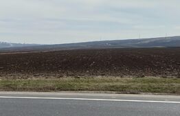 Teren Extravilan, 7100 mp, E58,  zona Scheia