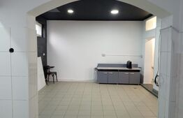 Spatiu comercial cu potențial, 108 mp, cu terasa, zona Ultracentrala