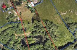 Ocazie , cabana, 300 mp utili, Poiana Stampei cu 6060 mp teren