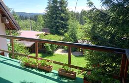 Ocazie , cabana, 300 mp utili, Poiana Stampei cu 6060 mp teren