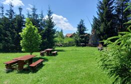 Ocazie , cabana, 300 mp utili, Poiana Stampei cu 6060 mp teren