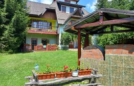 Ocazie , cabana, 300 mp utili, Poiana Stampei cu 6060 mp teren