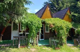 Ocazie , cabana, 300 mp utili, Poiana Stampei cu 6060 mp teren