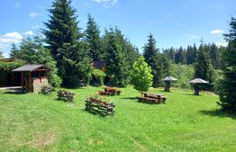 Ocazie , cabana, 300 mp utili, Poiana Stampei cu 6060 mp teren