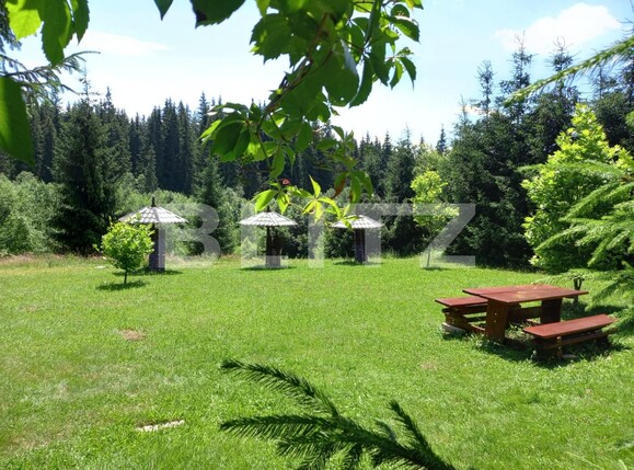 Casa de vânzare 8 camere Vatra Dornei - 111798CV | BLITZ Suceava | Poza9