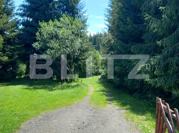 Casa de vânzare 8 camere Vatra Dornei - 111798CV | BLITZ Suceava | Poza12