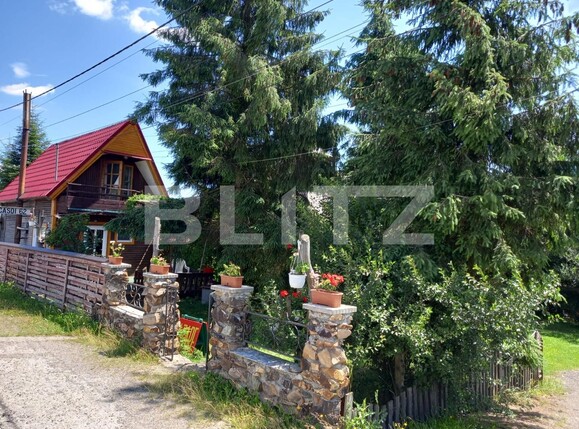 Casa de vânzare 8 camere Vatra Dornei - 111798CV | BLITZ Suceava | Poza5