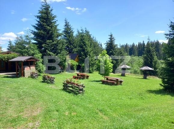 Casa de vânzare 8 camere Vatra Dornei - 111798CV | BLITZ Suceava | Poza14