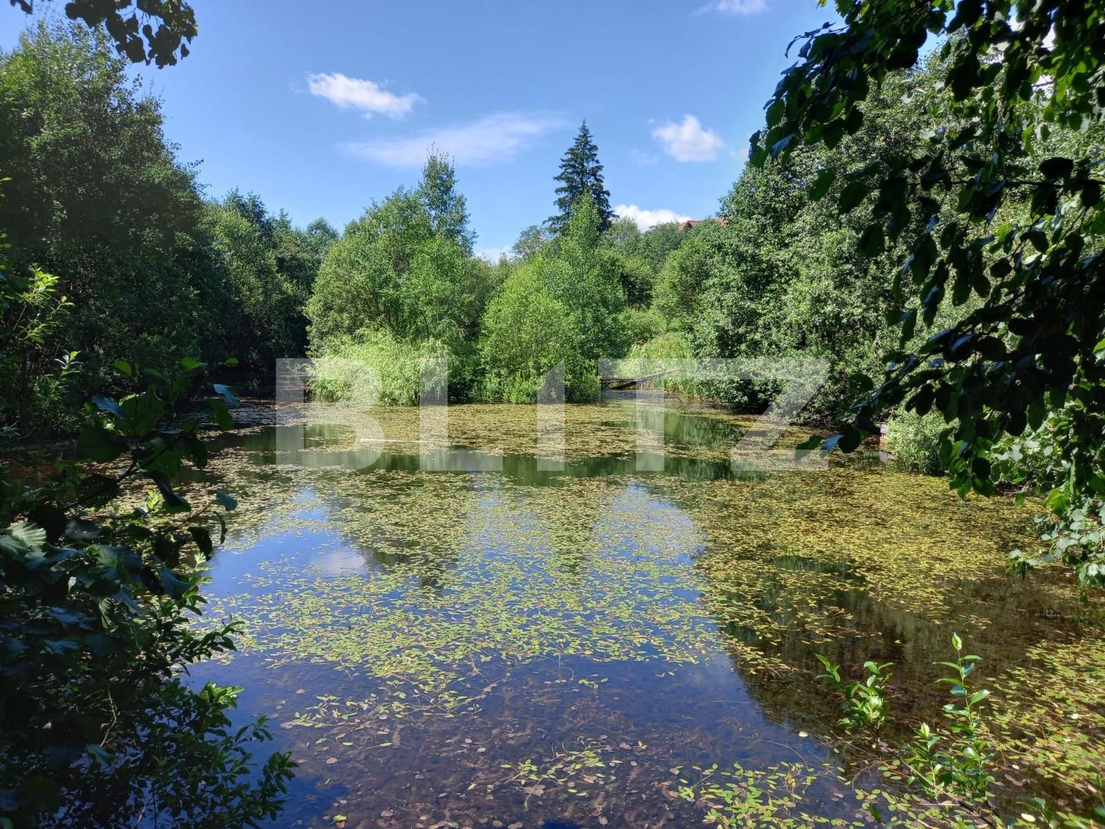 Casa de vânzare 8 camere Vatra Dornei - 111798CV | BLITZ Suceava | Poza10