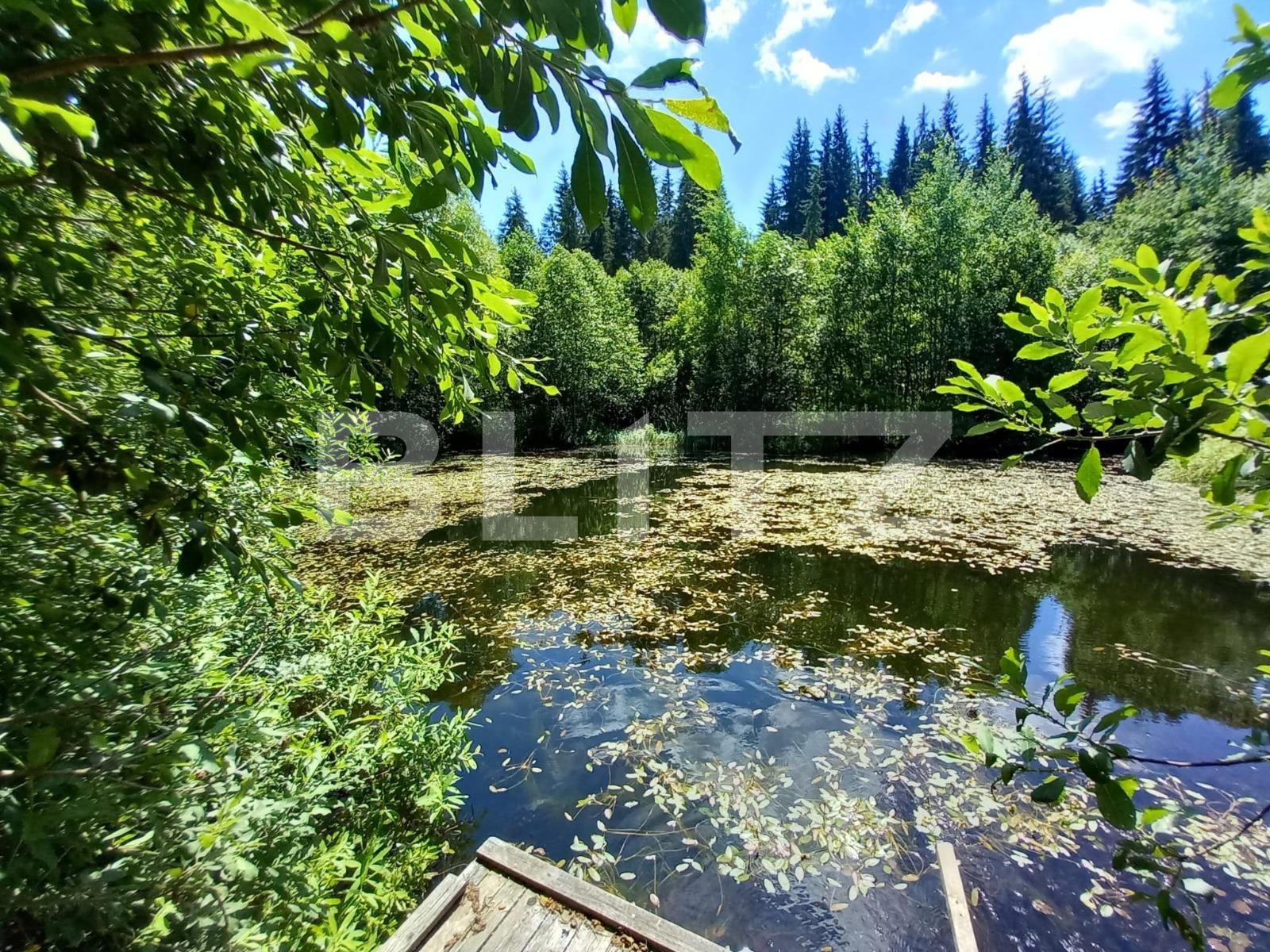 Casa de vânzare 8 camere Vatra Dornei - 111798CV | BLITZ Suceava | Poza11