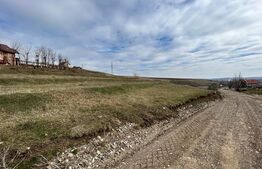 Teren de 2000 mp in zona centurii Moara Suceava 