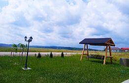 Casa spatioasa cu 1000 mp de teren in Ilisesti