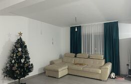 Casa spatioasa cu 1000 mp de teren in Ilisesti