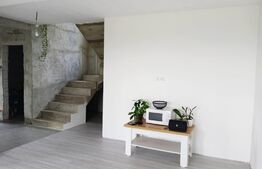 Casa spatioasa cu 1000 mp de teren in Ilisesti