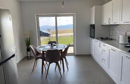 Casa spatioasa cu 1000 mp de teren in Ilisesti