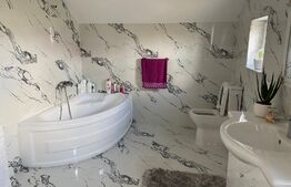 Casa spatioasa cu 1000 mp de teren in Ilisesti