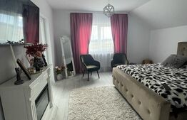 Casa spatioasa cu 1000 mp de teren in Ilisesti