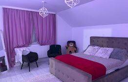 Casa spatioasa cu 1000 mp de teren in Ilisesti