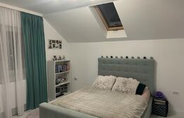 Casa spatioasa cu 1000 mp de teren in Ilisesti