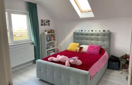 Casa spatioasa cu 1000 mp de teren in Ilisesti