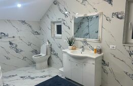 Casa spatioasa cu 1000 mp de teren in Ilisesti