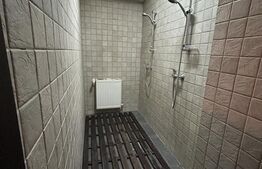 Pensiune ****D + P + 1E + M cu 11 camere, 5000 mp teren, Vama