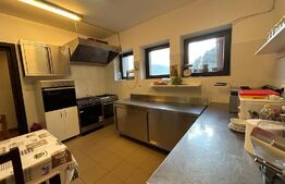 Pensiune ****D + P + 1E + M cu 11 camere, 5000 mp teren, Vama