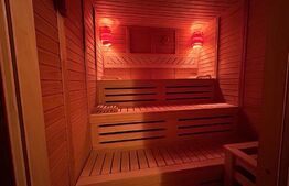 Pensiune ****D + P + 1E + M cu 11 camere, 5000 mp teren, Vama