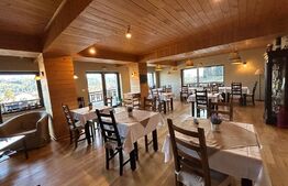 Pensiune ****D + P + 1E + M cu 11 camere, 5000 mp teren, Vama