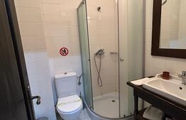 Pensiune ****D + P + 1E + M cu 11 camere, 5000 mp teren, Vama