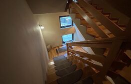 Pensiune ****D + P + 1E + M cu 11 camere, 5000 mp teren, Vama