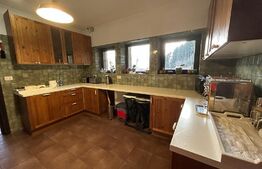 Pensiune ****D + P + 1E + M cu 11 camere, 5000 mp teren, Vama