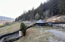 Pensiune ****D + P + 1E + M cu 11 camere, 5000 mp teren, Vama