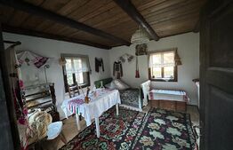 Pensiune ****D + P + 1E + M cu 11 camere, 5000 mp teren, Vama