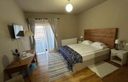 Pensiune ****D + P + 1E + M cu 11 camere, 5000 mp teren, Vama